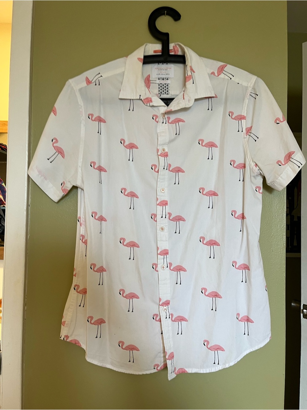 Short sleeve button down bundle - Picture 3 of 6